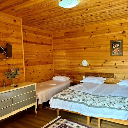 Pensiunea Balkan Expres Guest house Runcu (Gorj)