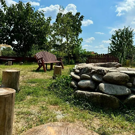 Guest house Pensiunea Balkan Expres