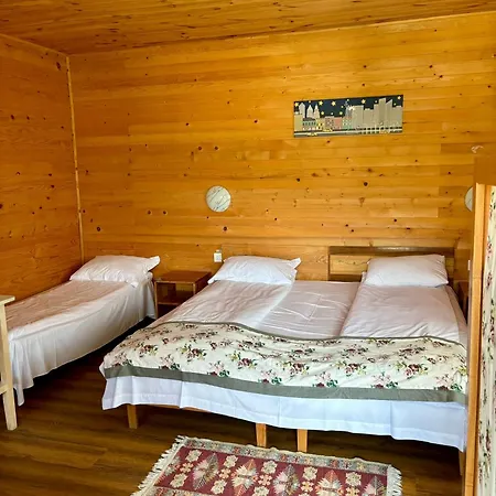 Pensiunea Balkan Expres * Runcu (Gorj)