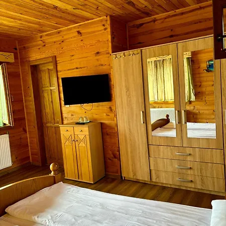 Guest house Pensiunea Balkan Expres *