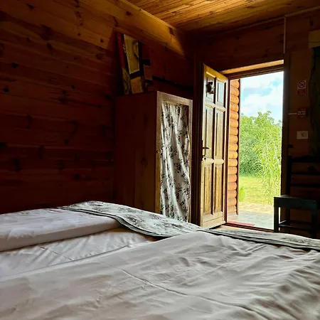 Guest house Pensiunea Balkan Expres *